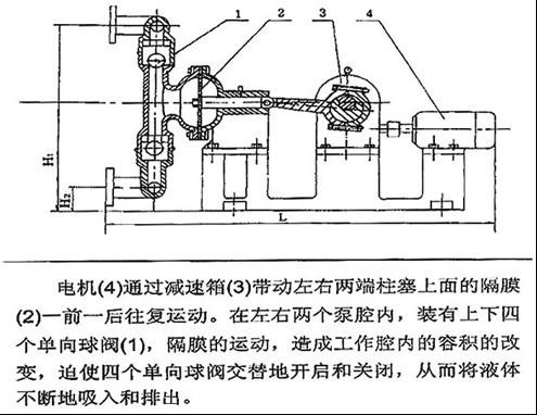 DBY型不锈钢电动隔膜泵结构简图